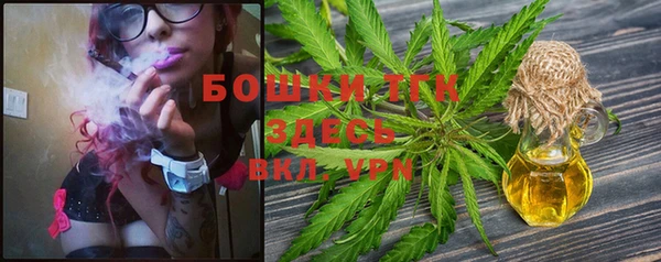индика Строитель