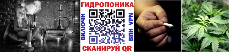 Шишки марихуана гибрид  Ленинск-Кузнецкий 